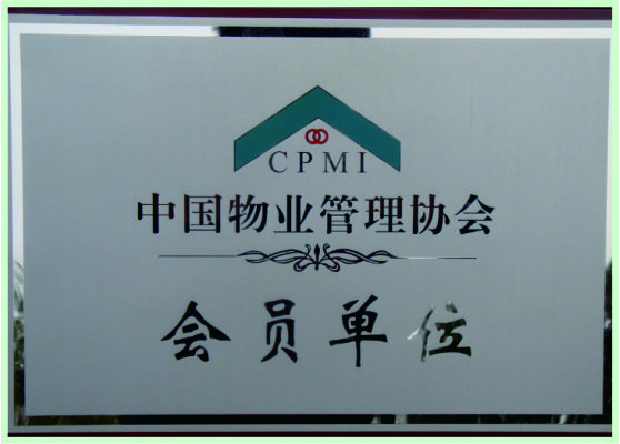 公司荣誉