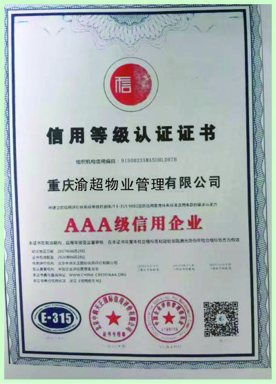公司荣誉